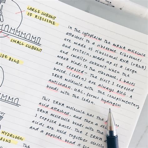 studyblr study notes handwriting analysis nice handwriting