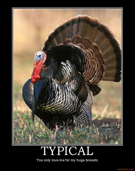 typical people always like the turkey with the big breasts