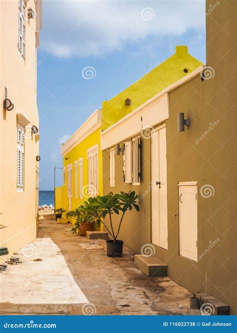 yellow petermaai district curacao views stock photo image  historic caribbean