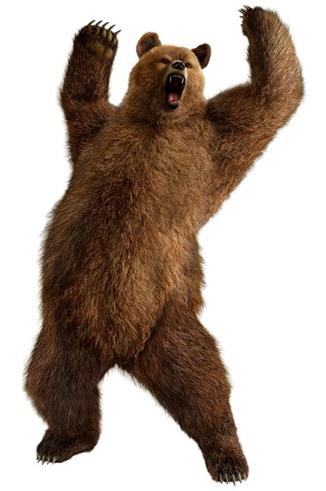 grizzly bear standing png image purepng  transparent cc png