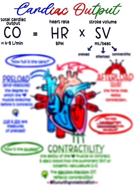 cardiac output etsy