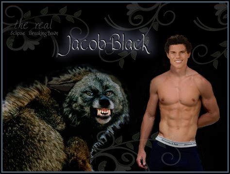 jacob black twilight series photo  fanpop
