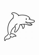Dolphin Coloring Large sketch template