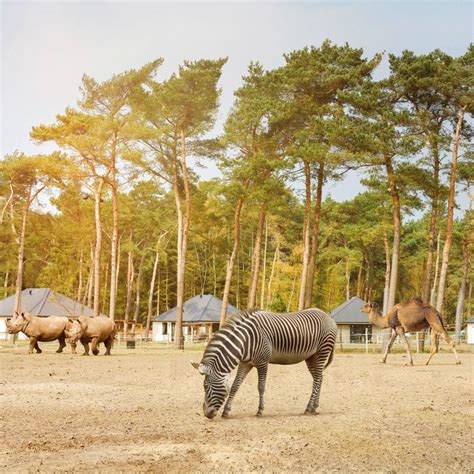 safaripark beekse bergen mode voor de  vrouw