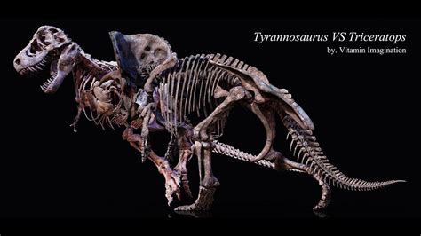 Tyrannosaurus Vs Triceratops Skeleton By Vitamin Imagination Youtube