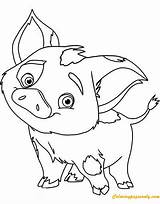 Moana Coloring Pages Pua Pig Baby Disney Cute Color Drawing Piggy Miss Printable Guinea Kids Print Picturethemagic Maui Disneyclips Pigs sketch template