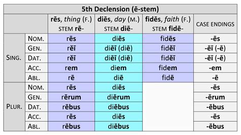 fourth declension latin nouns boobs and cock