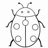 Coloring Pages Insect Ladybug Bug Insects Printable Bugs Choose Board Cartoon sketch template