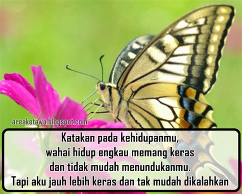 gambar kata motivasi kehidupan sehari hari area ketawa