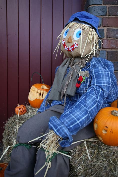 Harmless Halloween Fund From Scarecrows Shropshire Star
