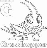 Grasshopper Coloring Pages Printable Kids Color Getcolorings Print sketch template