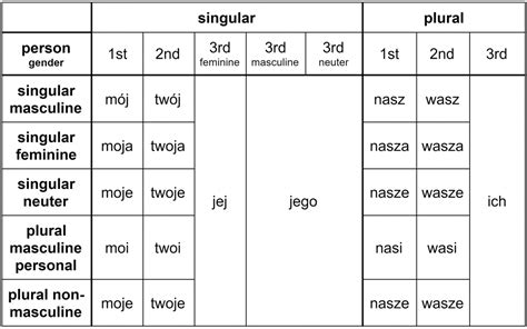 Polish Possessive Pronouns Number And Gender Clozemaster Blog