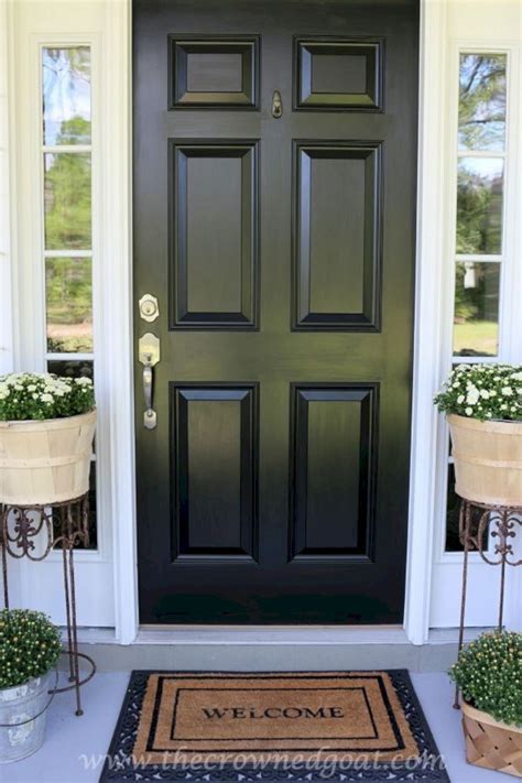 awasome black double front door ideas references