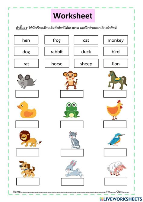 pin   printable worksheets worksheets library