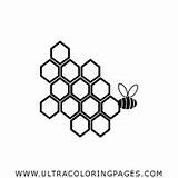 Coloring Honeycomb sketch template