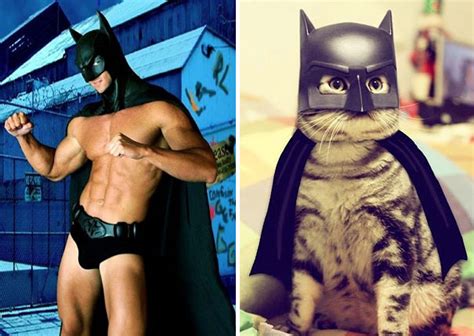 funny combinations of hot actors and male models and cute cats