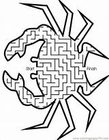Maze Mazes Crab Coloring Printable Fish Pages Kids Start Printables Through Shaped Finish Printactivities Ocean Doolhof Way Find Worksheets Mermaid sketch template