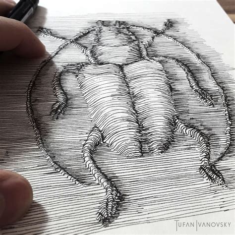 insekt abstrakt tuschmalerei zeichnung linie von tufan  kunstnet