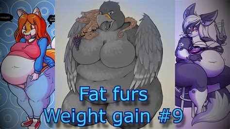 fat furs weight gain  youtube