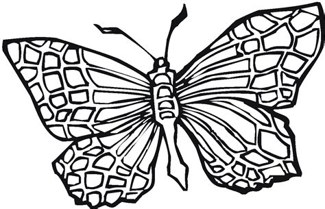 butterflies charming  wings  great coloring pages  kids hf