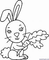 Coloring Rabbit Clipart Bunny Webstockreview Sweet Clip sketch template