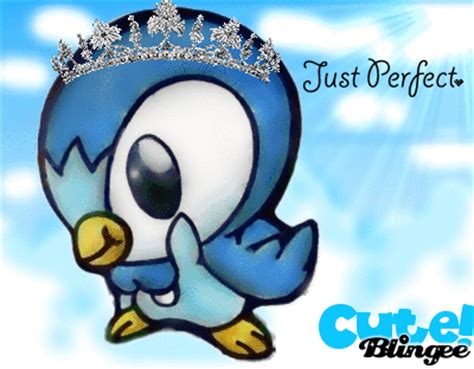 baby piplup  picture  blingeecom