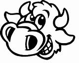 Bull Coloring Pages Coloringpages1001 Bulls Chicago sketch template
