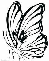 Butterfly Coloring Pages Printable Line Simple Drawing Monarch Butterflies Colouring Cocoon Cool2bkids Color Drawings Kids Getcolorings Easy Clipart Clipartmag Dazzling sketch template