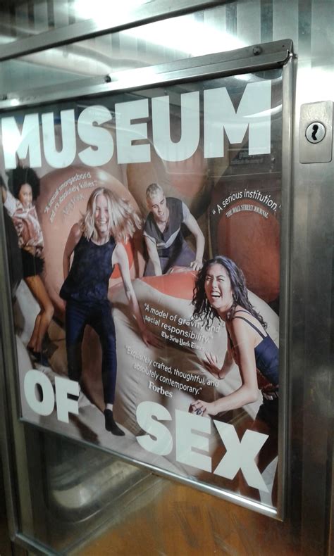museum of sex