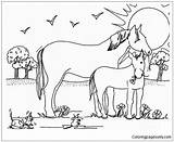 Pages Mare Foal Coloring Horse Online Color Printable Coloringpagesonly sketch template