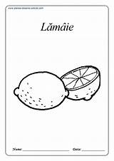 Colorat Fructe Planse Desene Lamaie Portocala Prune Piersici Imaginea Alege Panou sketch template