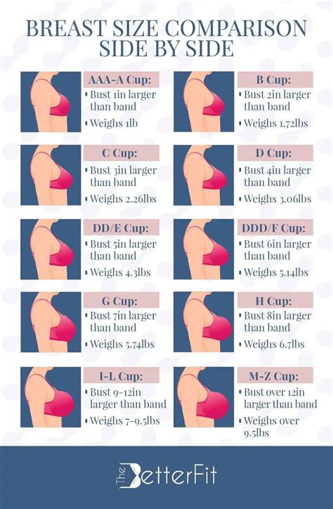 breast size comparison side  side breast sizes chart bra size