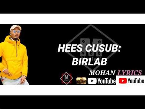 ali iid birlab official video mohanmusic hees cusub