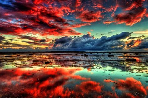 red clouds nature  wallpapers uhd  animals  desktop