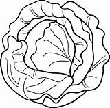 Lettuce Clipart Cabbage Coloring Salad Leaf Cartoon Vegetable Drawing Pages Clip Illustration Book Vegetables Outline Para Stock Colorir Getdrawings Head sketch template