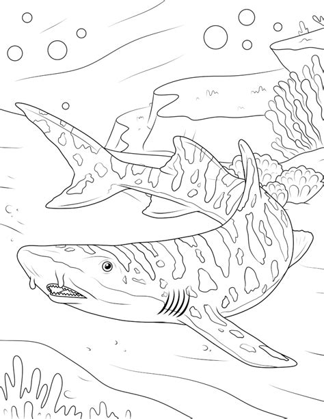 shark coloring pages activity party