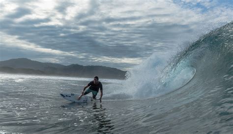 surfing ecuadorian gold    preserved glory  inertia