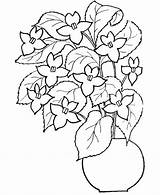 Kwiaty Kolorowanki Colorat Flori Primavara Planse Darmowe Druku Pre Raisingourkids Dzieci Universdecopil Drzewa Kwiatami Ugu sketch template