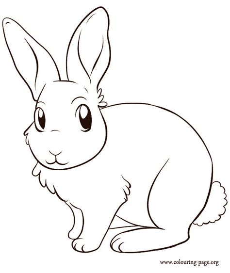 baby rabbits coloring pages coloring home