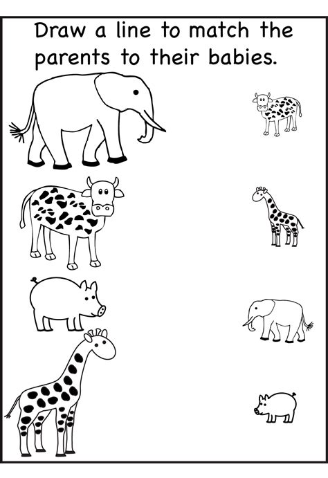 animal worksheet  nursery class learning printable