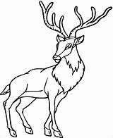Coloring Pages Deer Caribou Antelope Animals Printable Forest Drawing Preschool Kindergarten Colouring Baby Coloringbay Clipartmag Clipart Animal Horn sketch template
