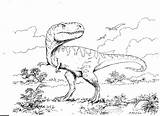 Rex Coloring Pages Dinosaur Printable Tyrannosaurus Sheets Print Printables Dinosaures Drawing Wars sketch template