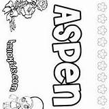 Aspen Coloring Pages Hellokids Atheena Name sketch template
