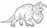 Patchi Walking Dinosaurs Pachyrhinosaurus Pages Coloring Dinosaur Printable sketch template