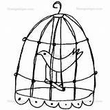 Cage Bird Drawing Wisdom Canary Paintingvalley sketch template