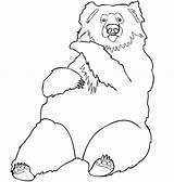 Coloring Bear Angry Pages Pdf Animal Kids Colouring Paddington Bird Search Getcolorings Getdrawings Printable Templates Colorings Template Drawing Color Print sketch template