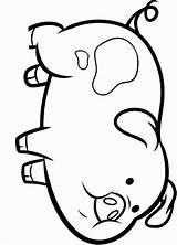 Waddles Dibujos sketch template
