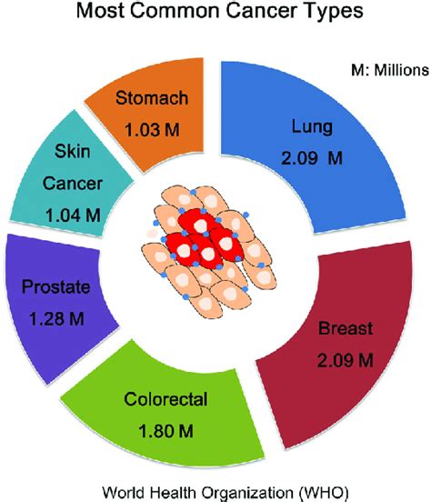 cancer types  number  patients cancer  leading   death