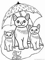 Coloring Kittens Three Little Pages Printable Cats Kitten Popular sketch template