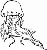 Medusas Jellyfish sketch template
